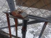 Багажник на крышу